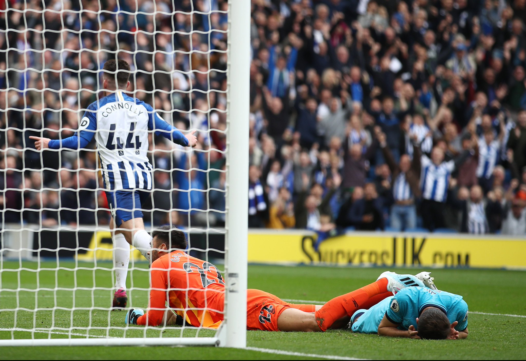 更是中美体 更是中美体